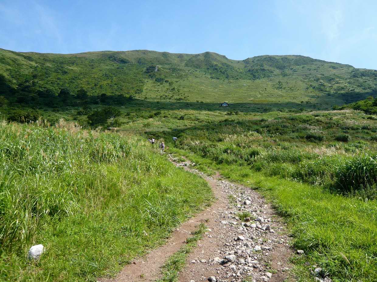 炎天下の伊吹山登山_e0110500_21393426.jpg