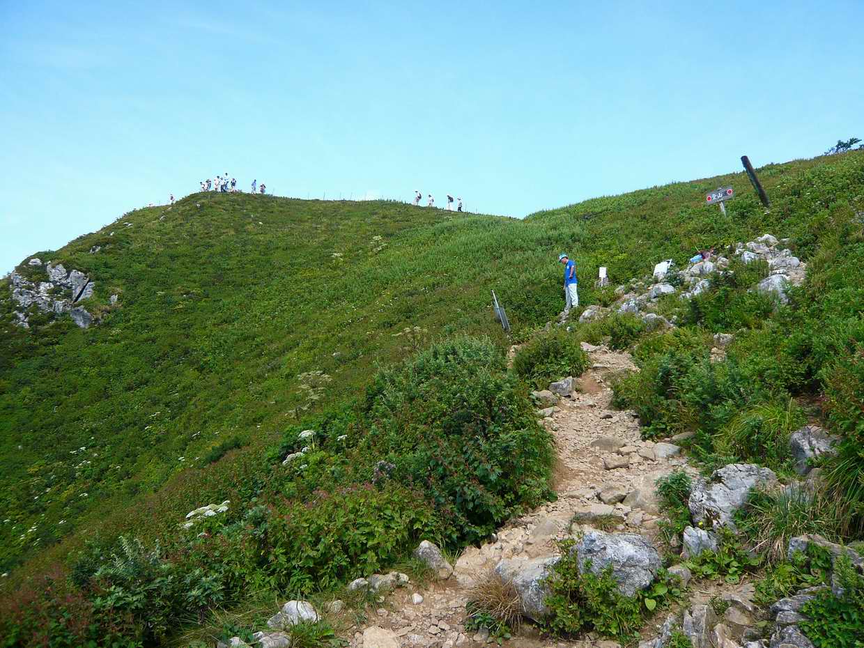 炎天下の伊吹山登山 山好き的日々 京都北山 炎天下の伊吹山登山 山好き的日々 京都北山