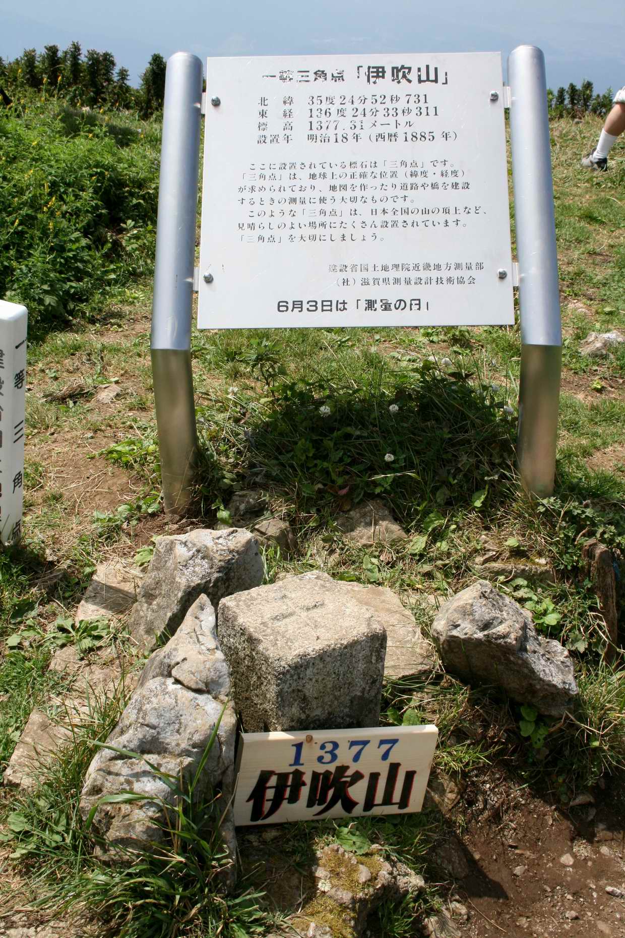 炎天下の伊吹山登山_e0110500_21484474.jpg