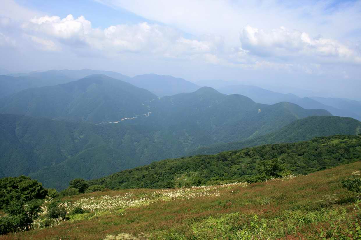 炎天下の伊吹山登山_e0110500_21513070.jpg