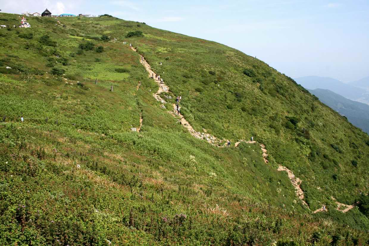 炎天下の伊吹山登山_e0110500_2154197.jpg