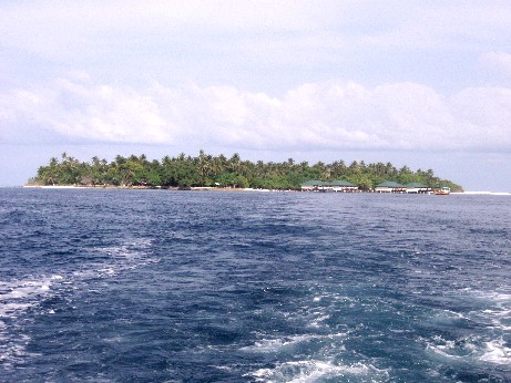 f0043911_058833.jpg