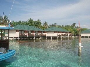 f0043911_11368.jpg