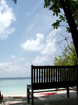 f0043911_125791.jpg