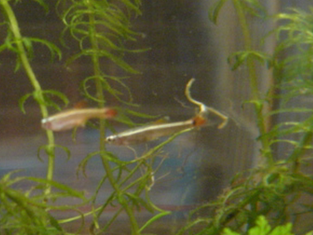 c0047812_071511.jpg