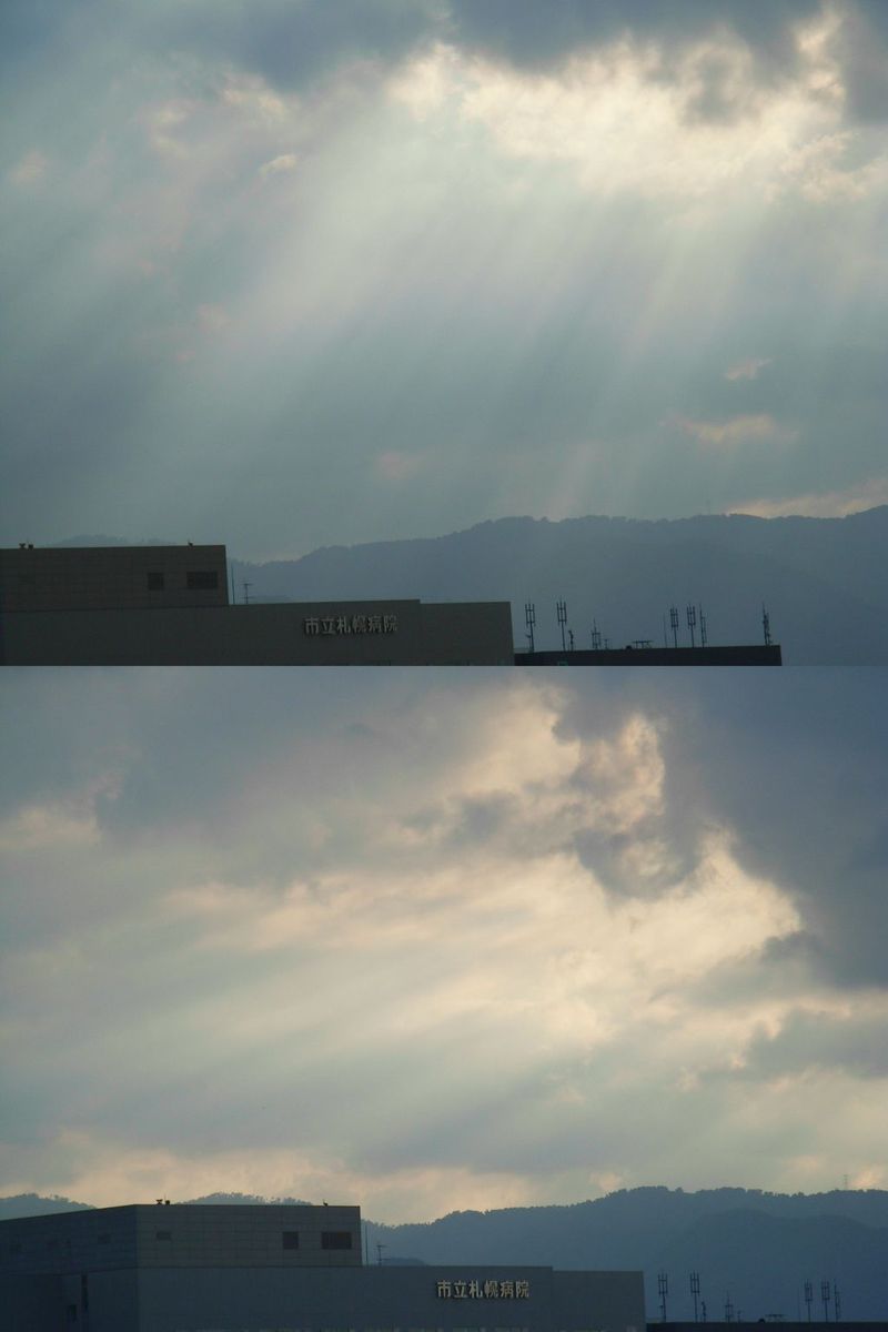 光のシャワー_c0025115_2322292.jpg