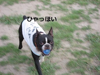 f0141516_022245.jpg
