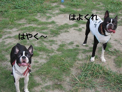 f0141516_0241978.jpg
