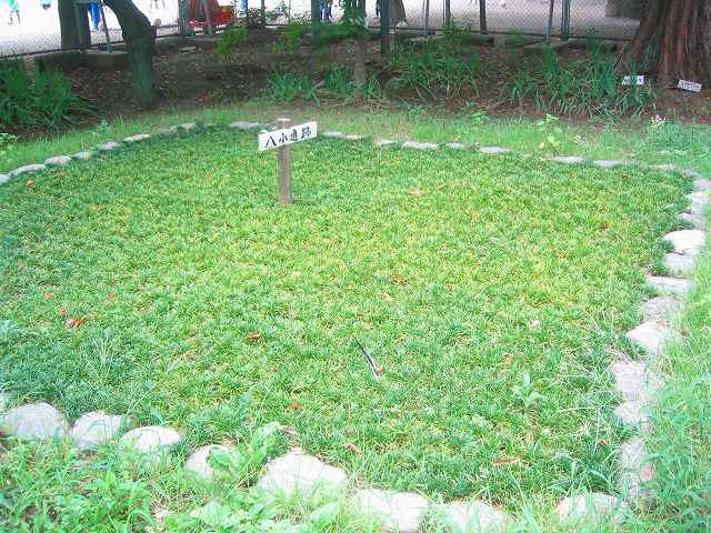 e0117318_16355447.jpg