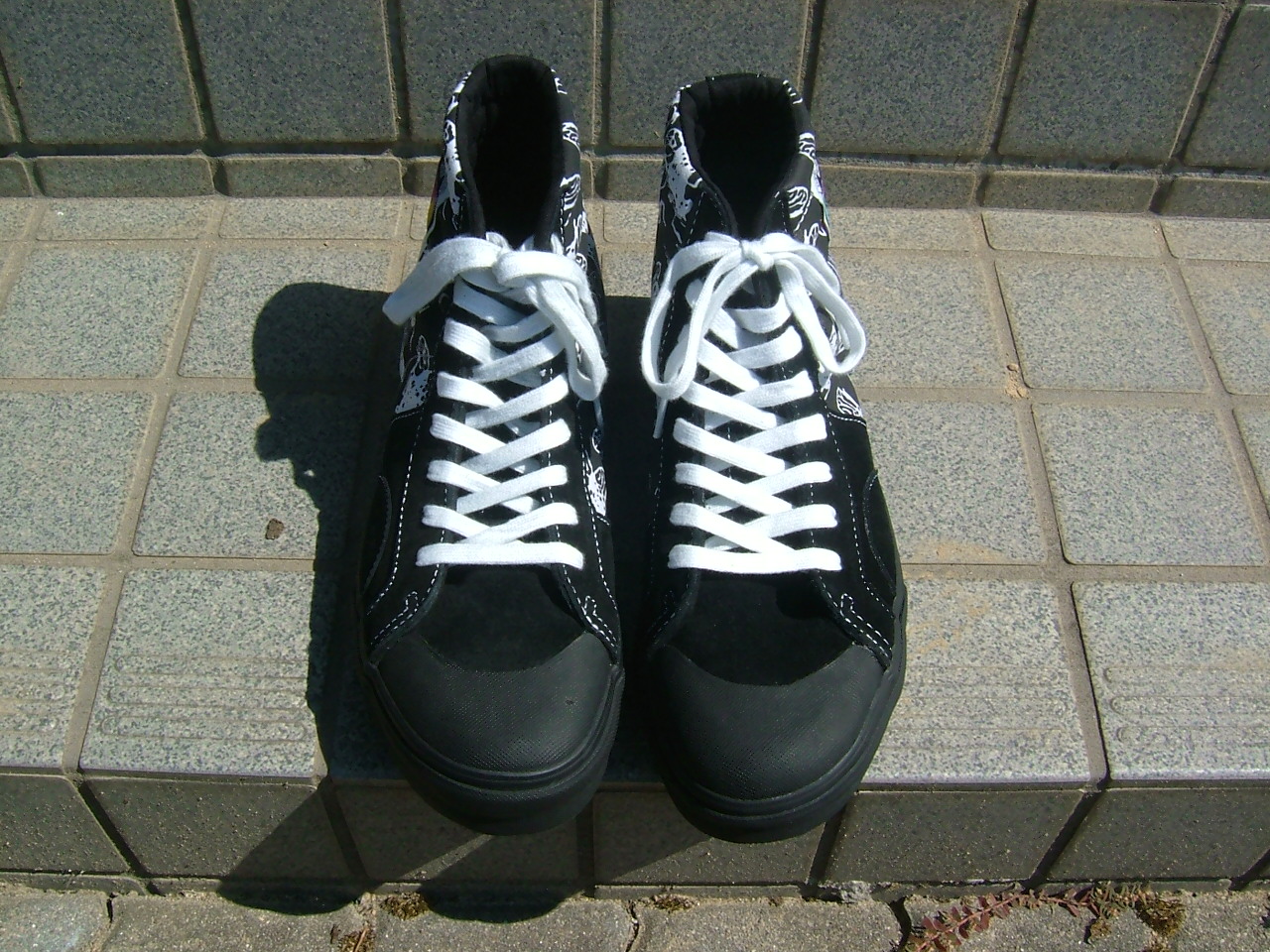 VANS　マドリッド_b0111222_21152237.jpg