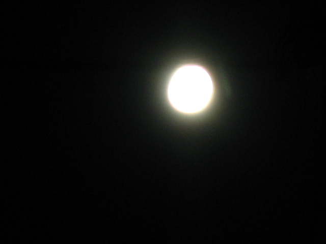 c0117028_11414726.jpg