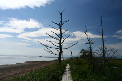 d0055236_1255453.jpg