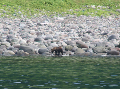 d0055236_1256075.jpg