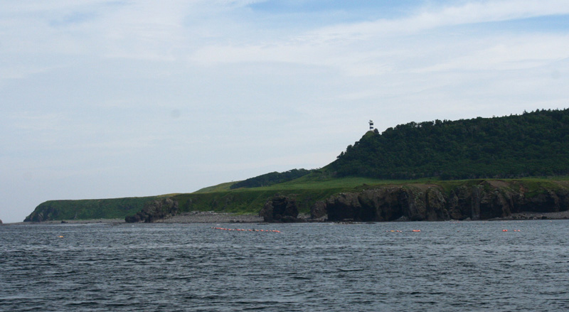 d0055236_1363177.jpg