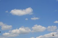 f0110336_2132126.jpg