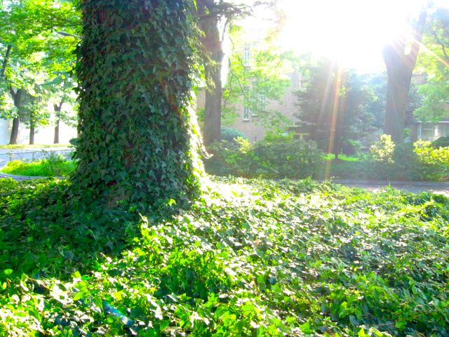a0095337_223767.jpg