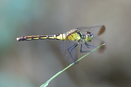 b0081141_2274265.jpg