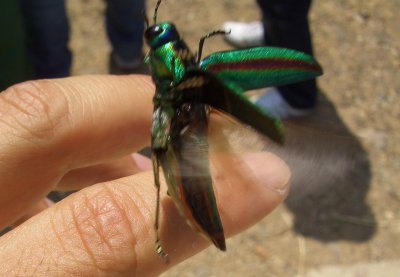 e0020945_9224242.jpg