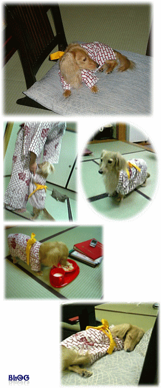 c0025852_14322960.gif