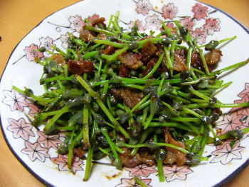 秋田の夏 みずたま Wienとweinとelisabeth 秋田の夏 みずたま Wienとweinとelisabeth