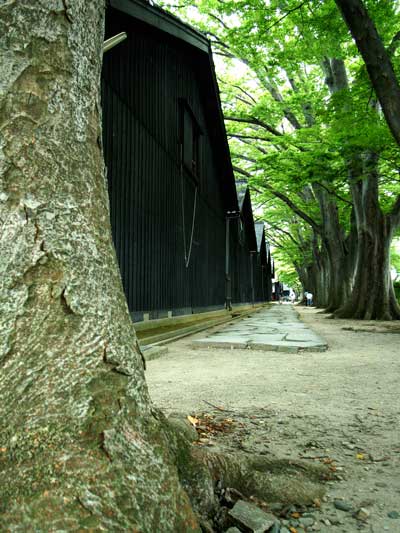小旅行_e0084756_174177.jpg