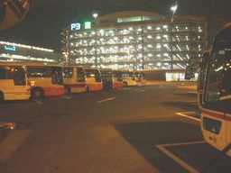 f0011960_1465442.jpg