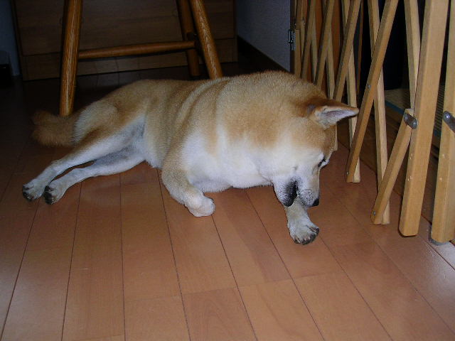f0060461_14214996.jpg