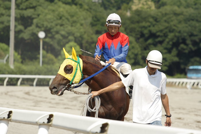 2007年8月26日（日） 高知競馬 8R パートナーＧＰ特別 レース_a0077663_21491972.jpg