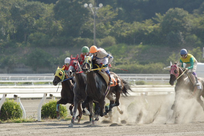 2007年8月26日（日） 高知競馬 8R パートナーＧＰ特別 レース_a0077663_21494738.jpg