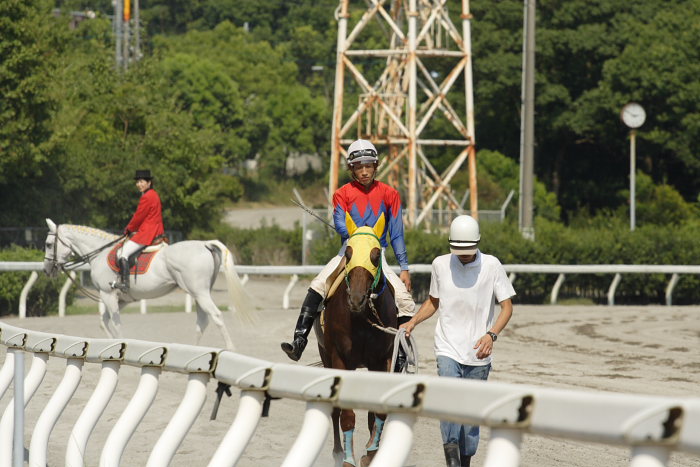 2007年8月26日（日） 高知競馬 8R パートナーＧＰ特別 レース_a0077663_2149765.jpg