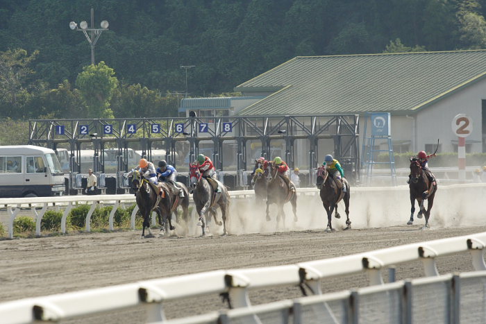 2007年8月26日（日） 高知競馬 8R パートナーＧＰ特別 レース_a0077663_21501250.jpg