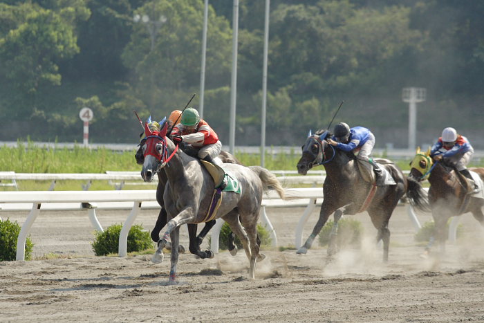 2007年8月26日（日） 高知競馬 8R パートナーＧＰ特別 レース_a0077663_21502759.jpg