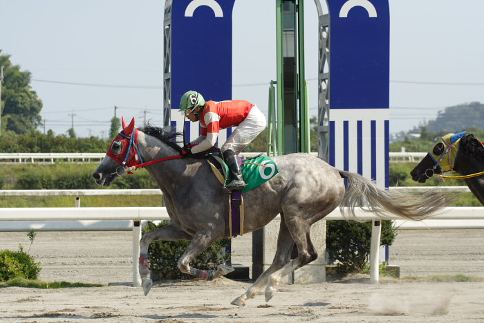 2007年8月26日（日） 高知競馬 8R パートナーＧＰ特別 レース_a0077663_21505274.jpg
