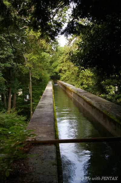 京都観光②　南禅寺　水路閣_b0116272_220151.jpg