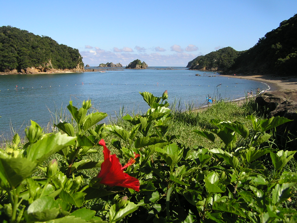 夏休み～宮崎のビーチ編②～_d0034380_2295099.jpg