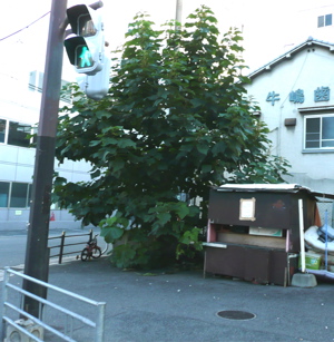f0146198_2192033.jpg