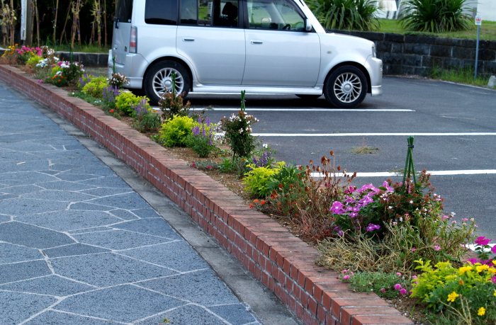 末吉のみんなの花壇_e0089001_041310.jpg