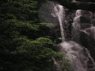 e0011102_22353330.jpg