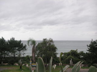 e0011102_22371092.jpg
