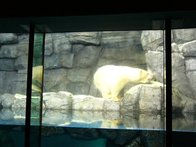 e0015108_817896.jpg