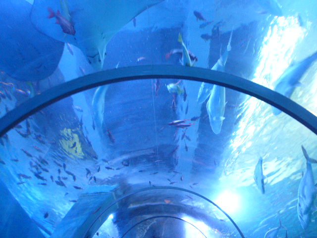 e0015108_86914.jpg