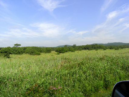 北海道旅行6日目_f0108112_2215054.jpg