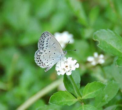 d0080118_22414022.jpg