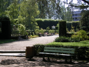 c0124619_62238.jpg