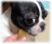 b0078030_17591289.gif