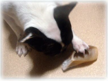 b0078030_1802756.gif