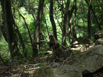 f0007540_12421491.gif