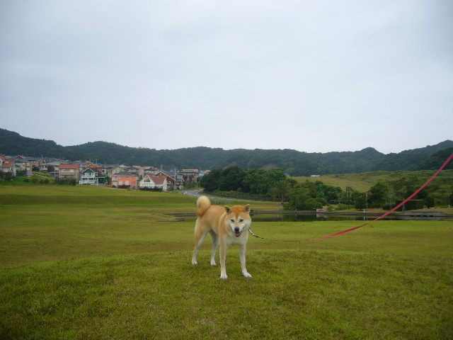2007年8月31日(金)もしも愛ちゃんが大阪の子やったら・・・_f0060461_12232175.jpg