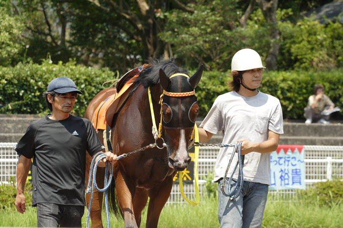 2007年8月26日(日) 高知競馬_a0077663_2138674.jpg