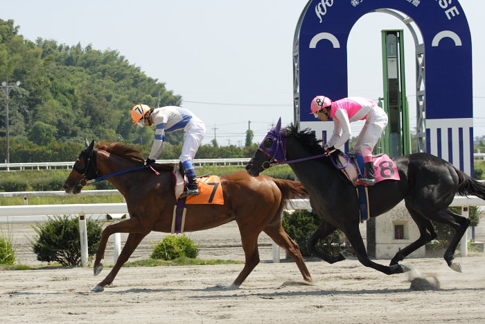 2007年8月26日(日) 高知競馬_a0077663_21391339.jpg